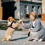 Derka magnetyczna – jak działa i kiedy warto ją stosować?